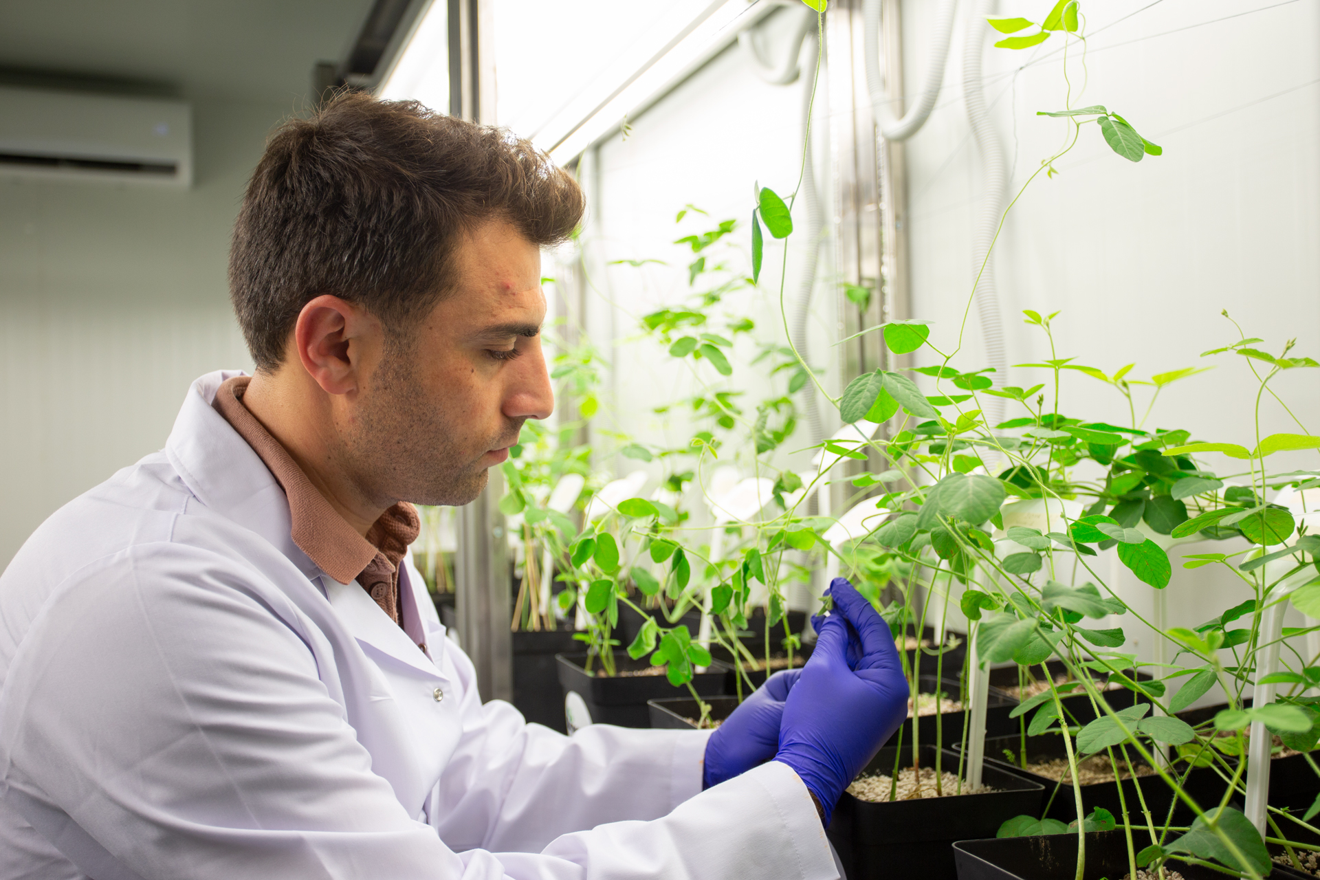 Research scientist conducting experiments
